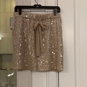 Ann Taylor Beige Sequin Mini Skirt